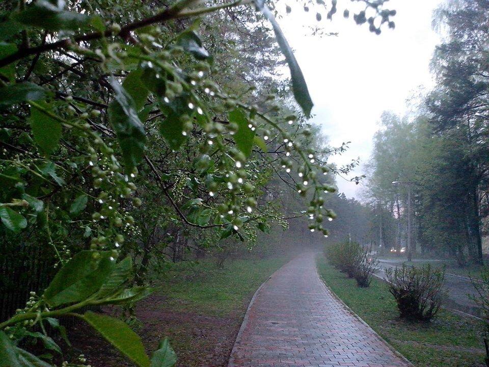ул. Мальцева Новосибирск, Академгородок 