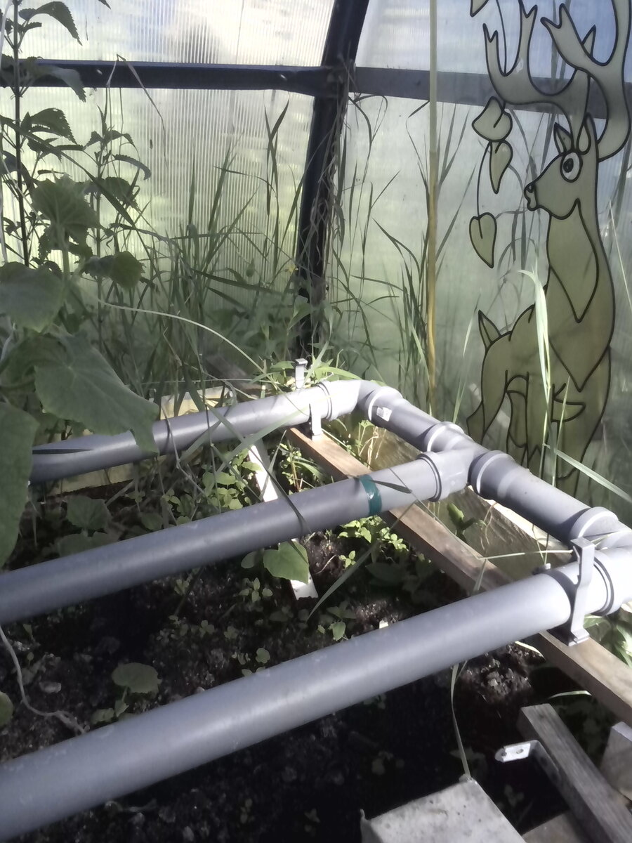автополив в теплице. полив теплицы из пластиковых труб своими руками. полив теплицы из пластиковых труб своими руками. полив теплицы из пластиковых труб своими руками. система капельного полива из полипропиленовых труб.