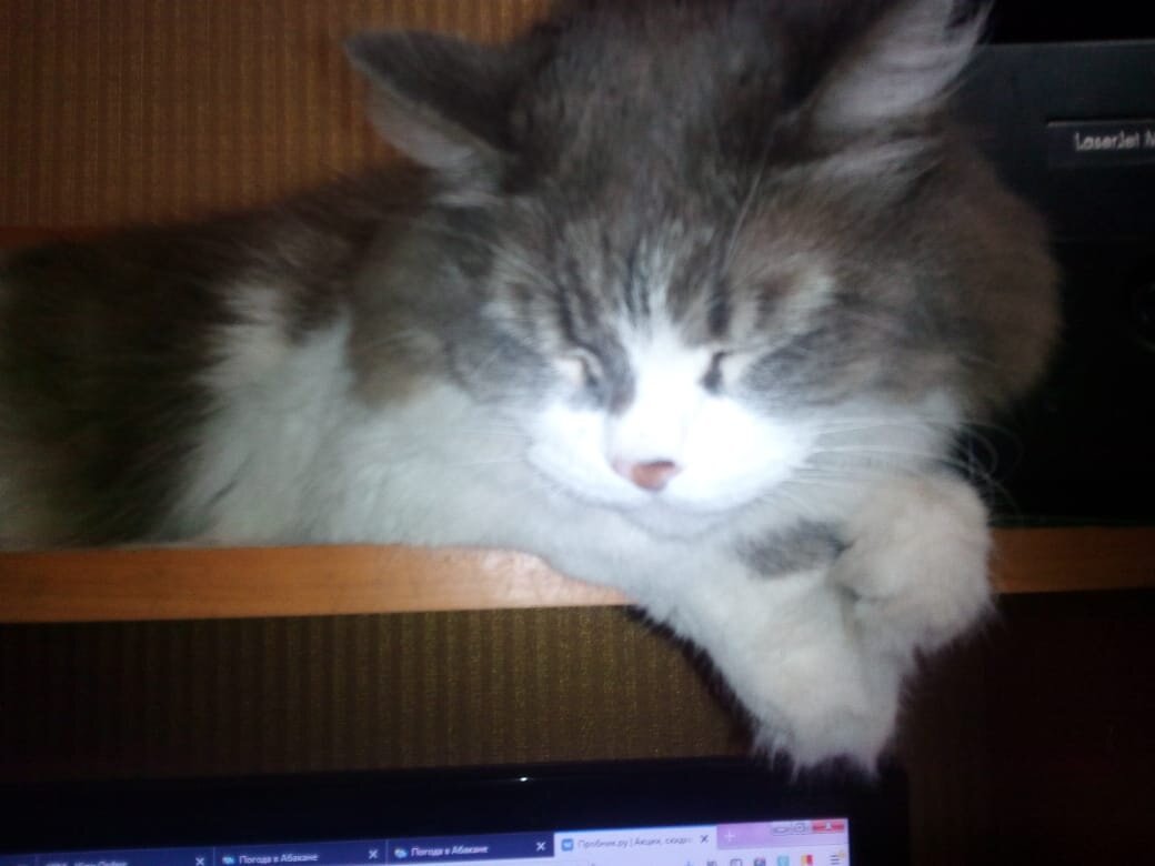 Малышка до болезни в весе 4800 г.