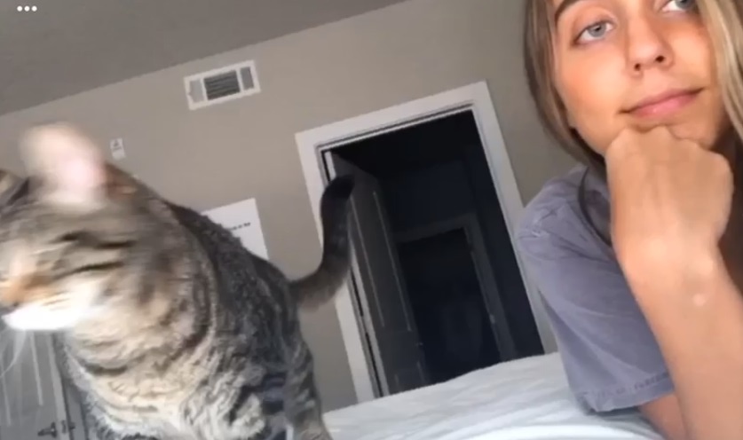 Призрак в шкафу Пэйдж , во время селфи. Источник Яндекс картинки