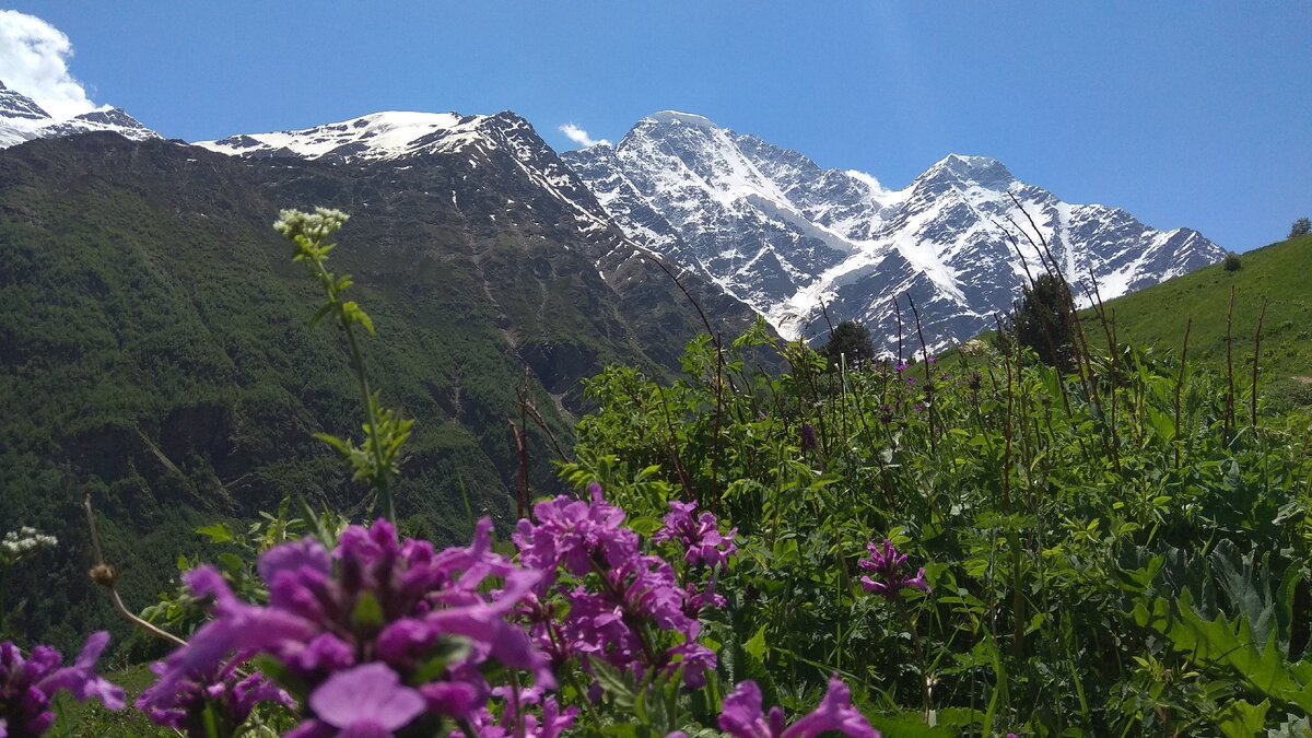 Чегет Кабардино Балкария летом