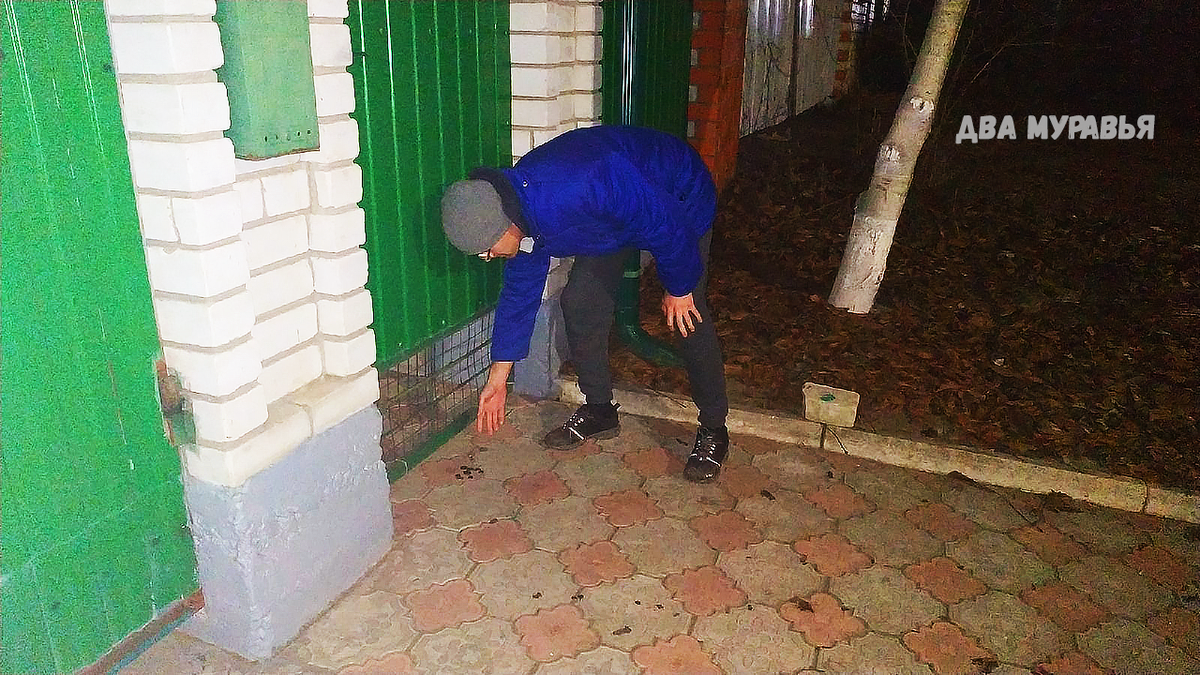 Мелочь под дверью