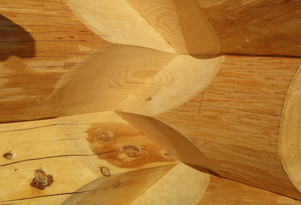 Вот так выглядит сруб вблизи