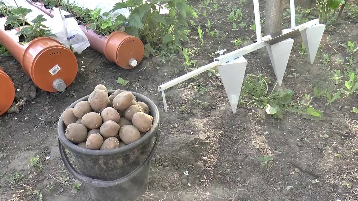 Без лопаты и с прямой спиной. Ручной аппарат для посадки картошки (видео)