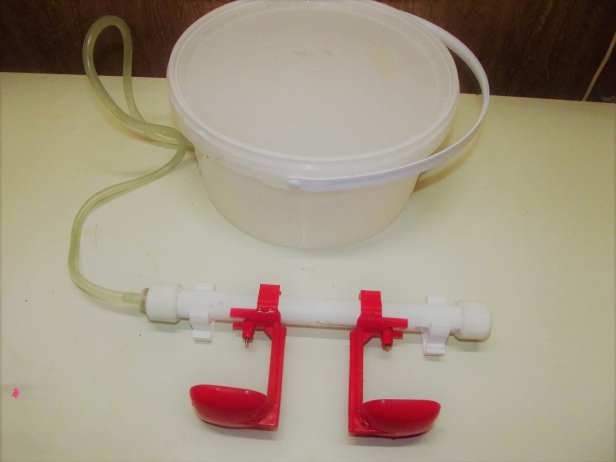 #ниппельные поилки 