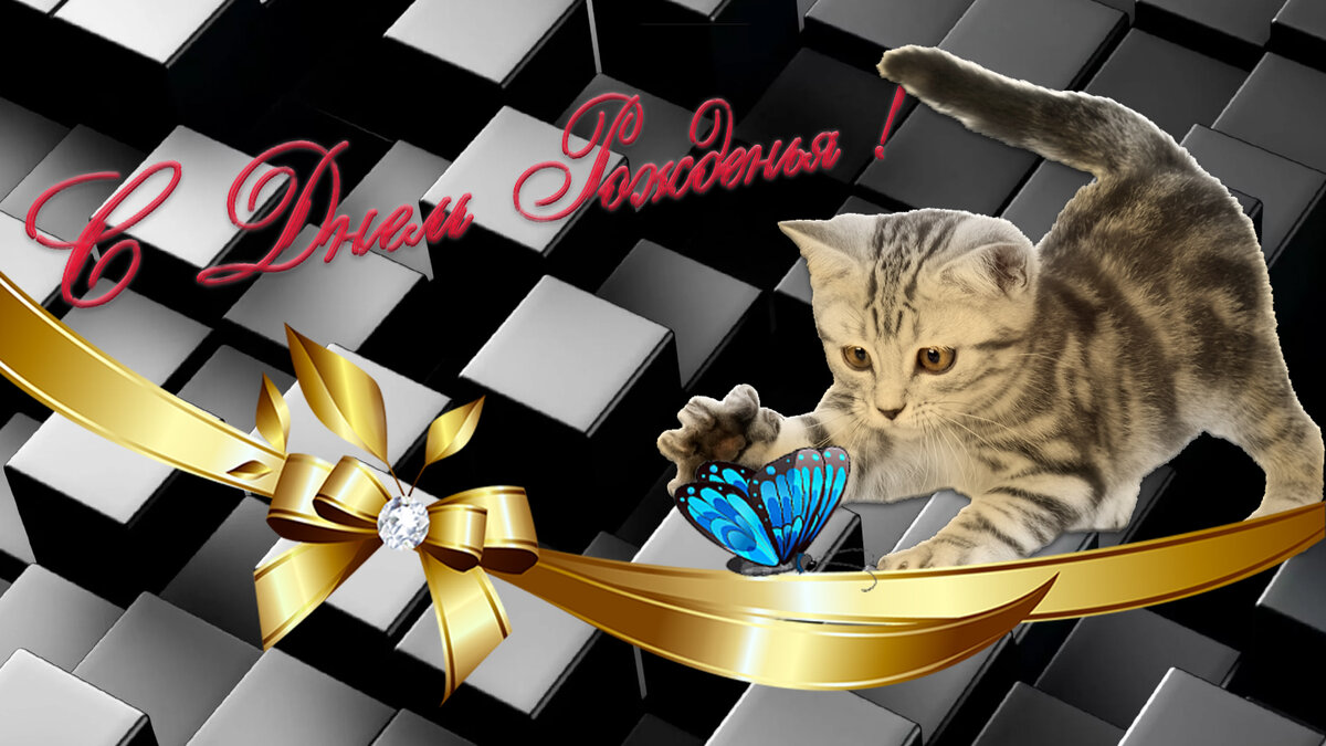 поздравить жену с Днем рождения