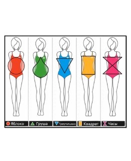 Типы женских фигур