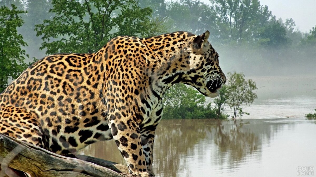 Фото: Fotovmire.ru