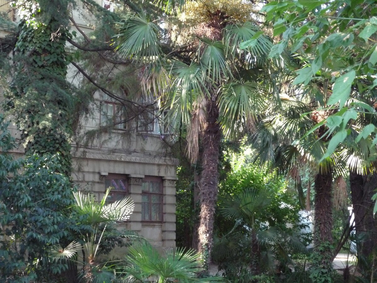 Улица Первомайская, где находилось наше пристанище, утопает в зелени.