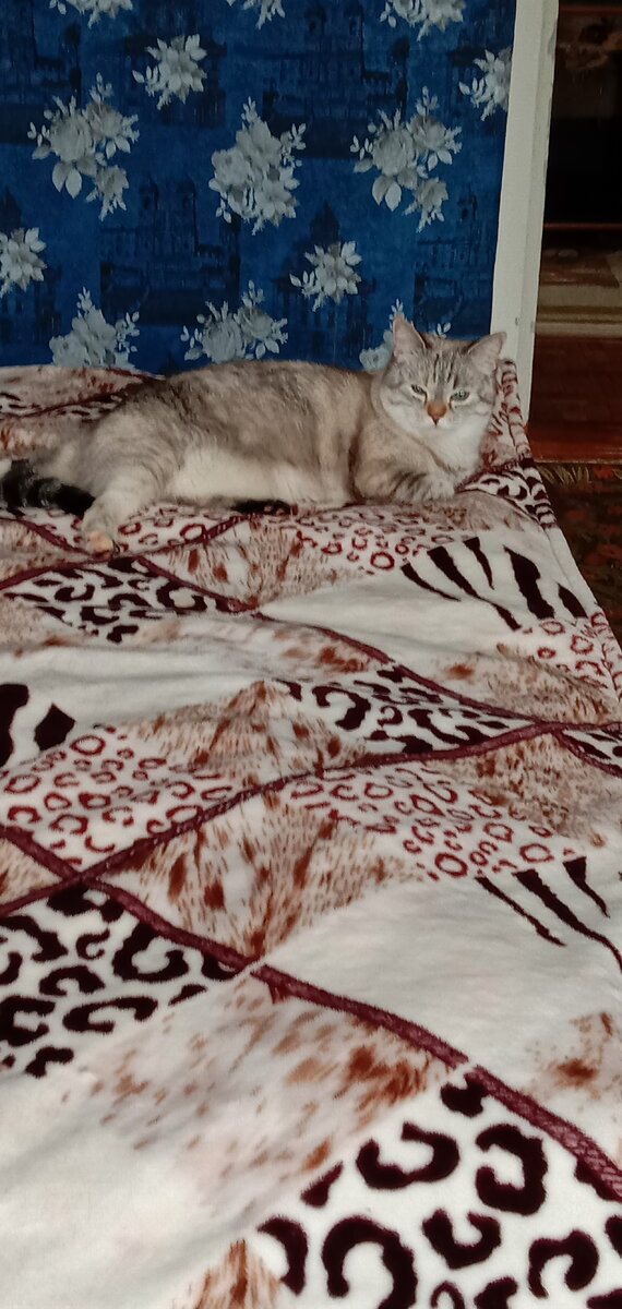 Пушистый контроль на линии.