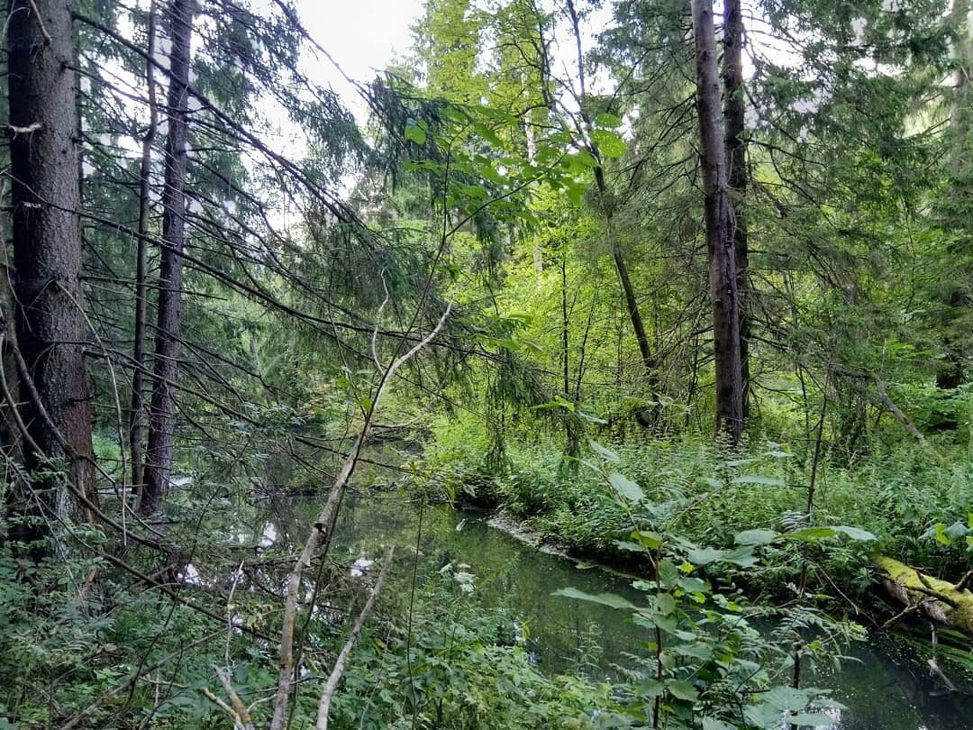 Дзен притчи книга. Марьины рассказы дзен. Марьины рассказы дзен. Дзен притчи книга. Марьины рассказы дзен.