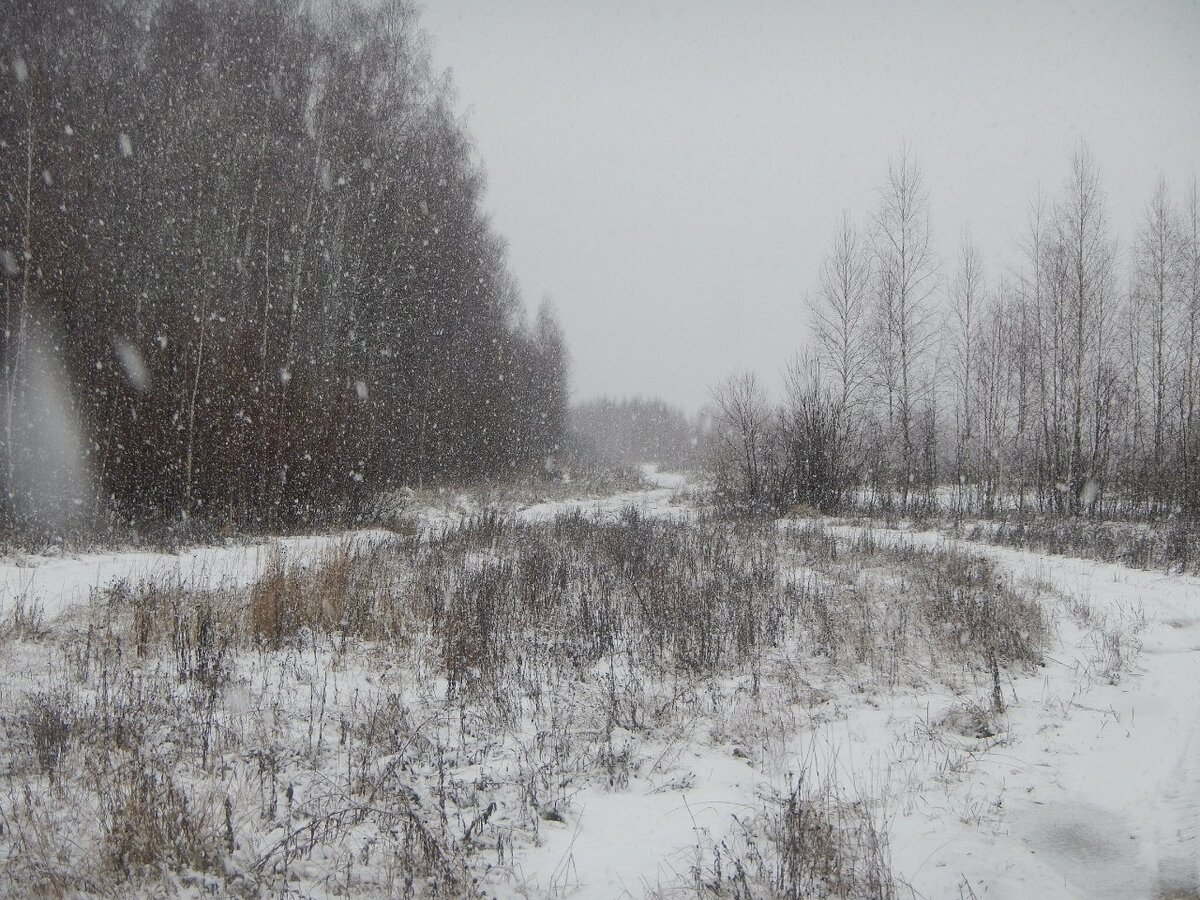 Фото из личного архива