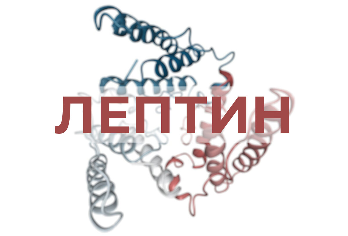 КАК АКТИВИРОВАТЬ ГОРМОНЫ ПОХУДЕНИЯ - 3 ШАГА | ВЕРЬЁМИНА - здоровье и ...