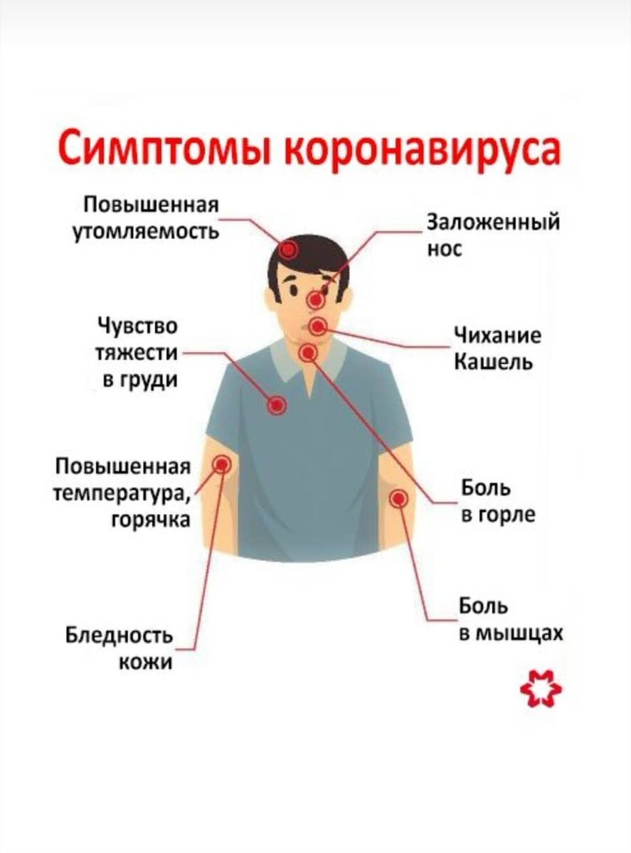 Картинка из Яндекс.Картинок