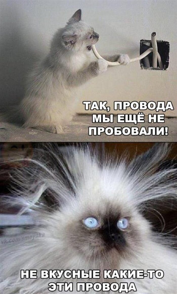 Картинка взята с открытого источника для визуализации статьи