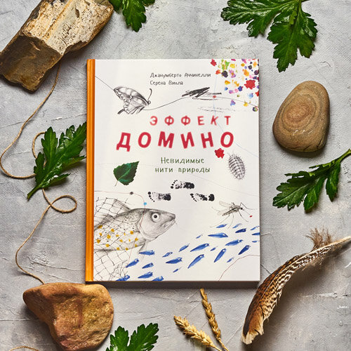 Серия "Это очень интетресно"