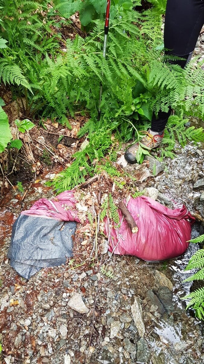 Изображение из личного архива автора