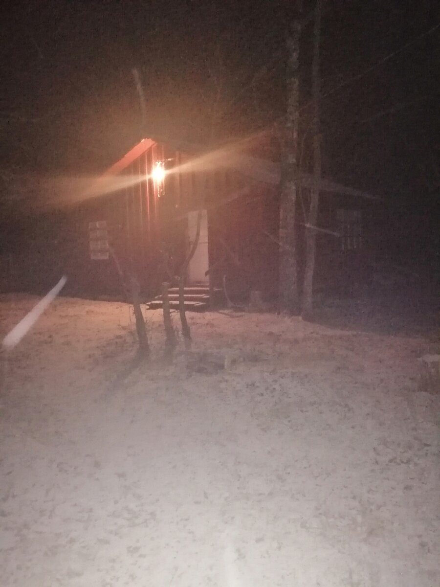 Зима пришла на наш участок