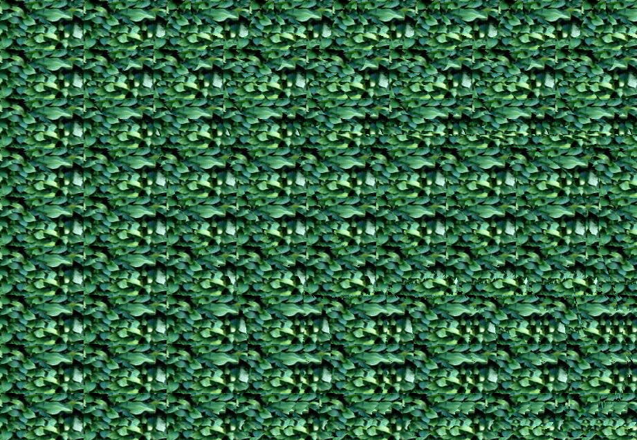 Стереокартинка автора