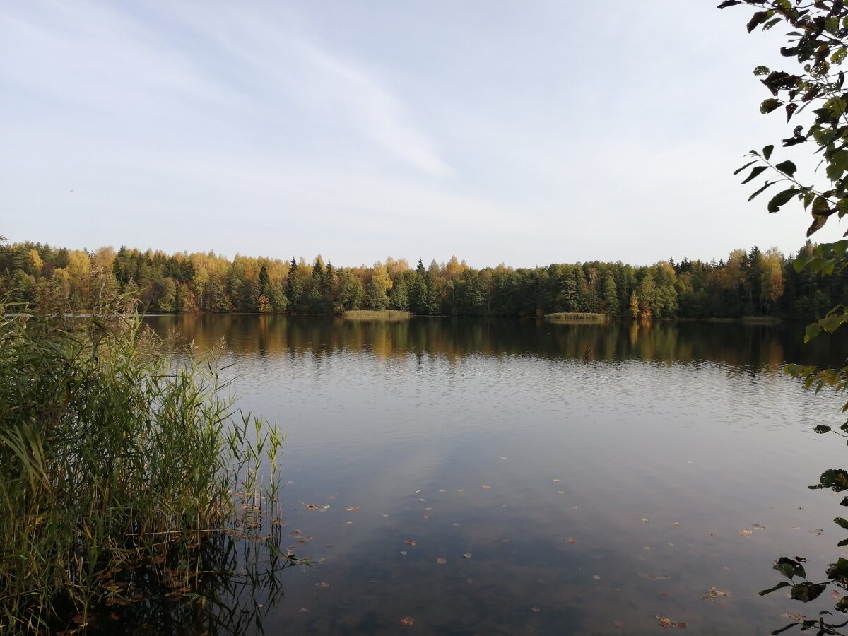 Осенняя поездка по Южским озёрам. Озеро Заборье.