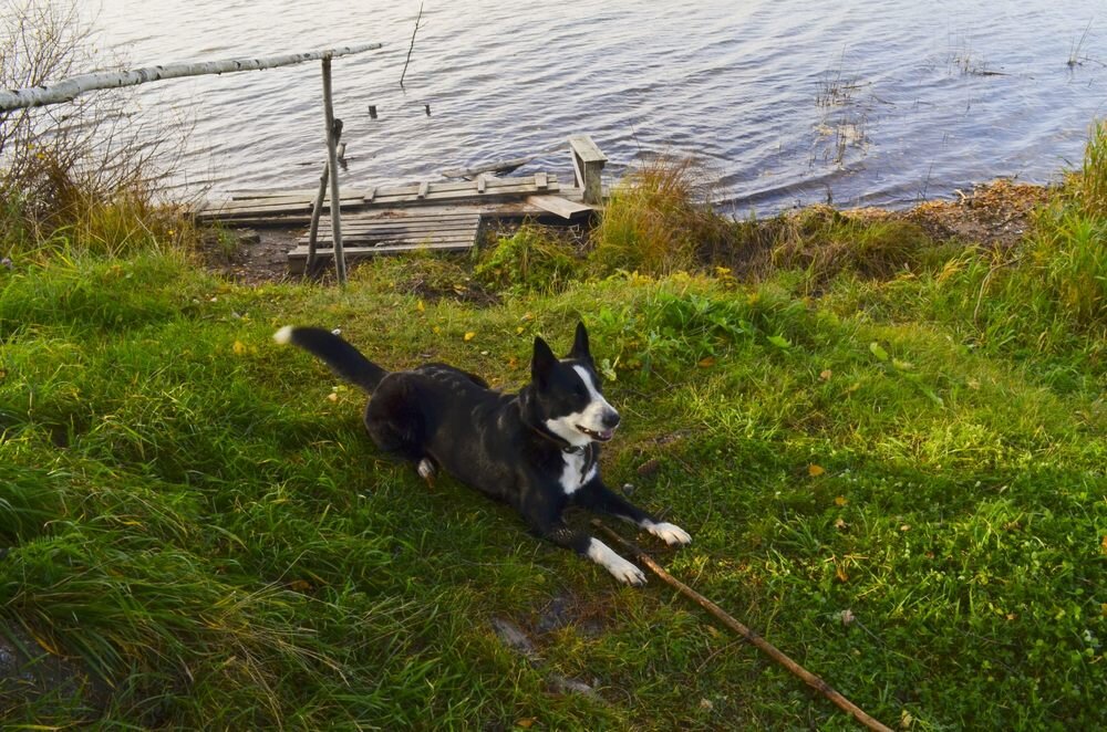 Все фото из личного архива