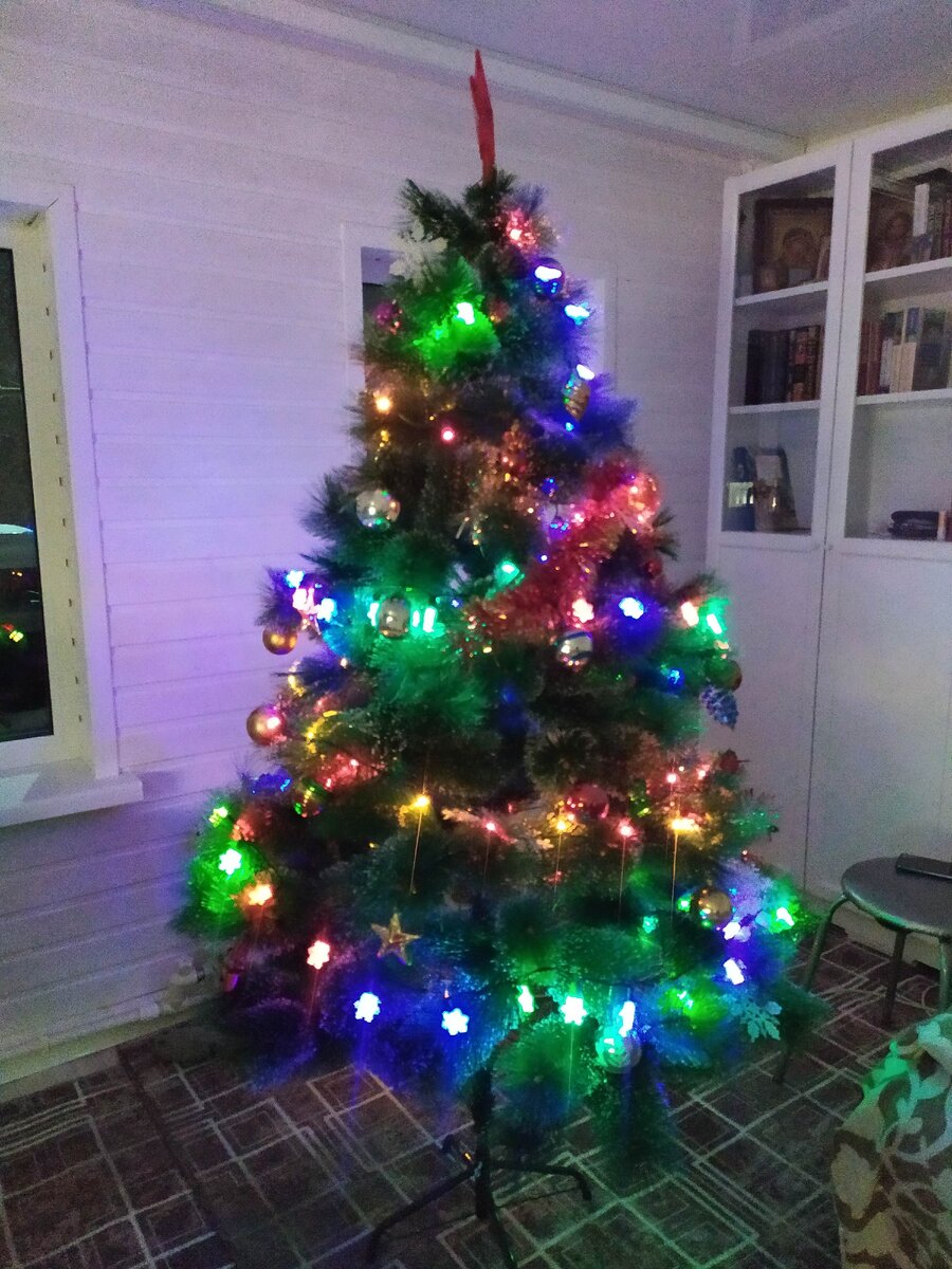 Наша ёлочка