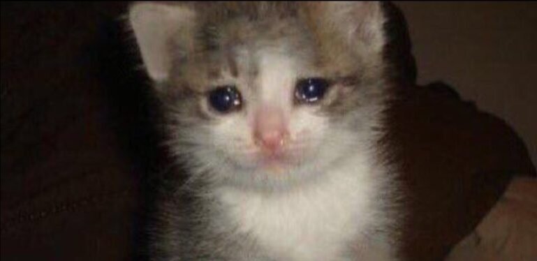 Боль, это не смешно.