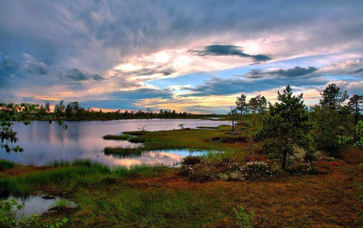 Васюганские болота