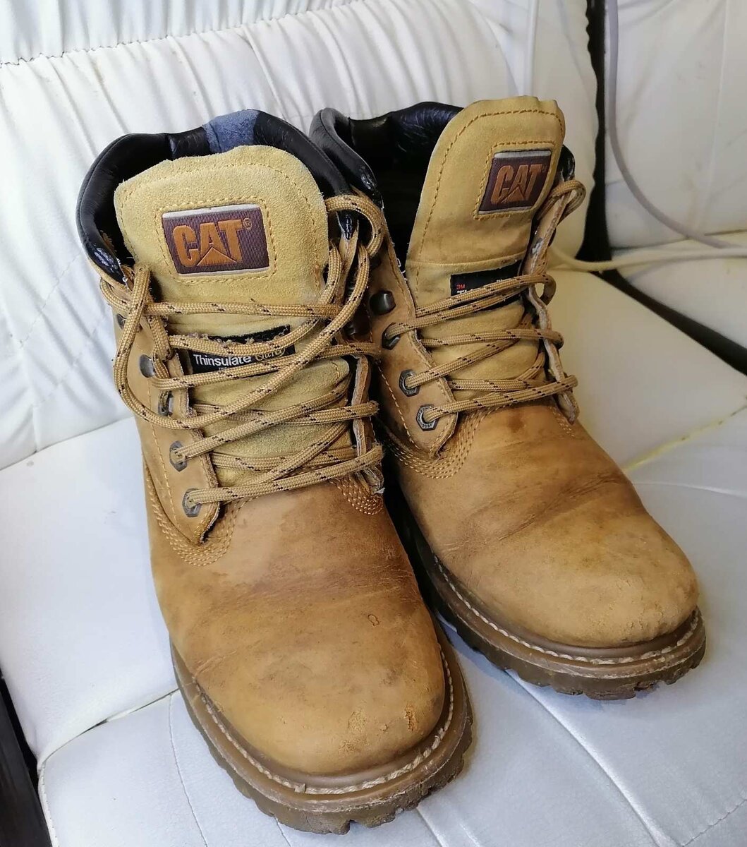 вот они! Caterpillar