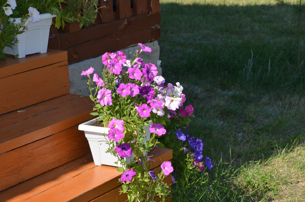 Режим "ждуна лета" включён. Фото из личного архива автора.