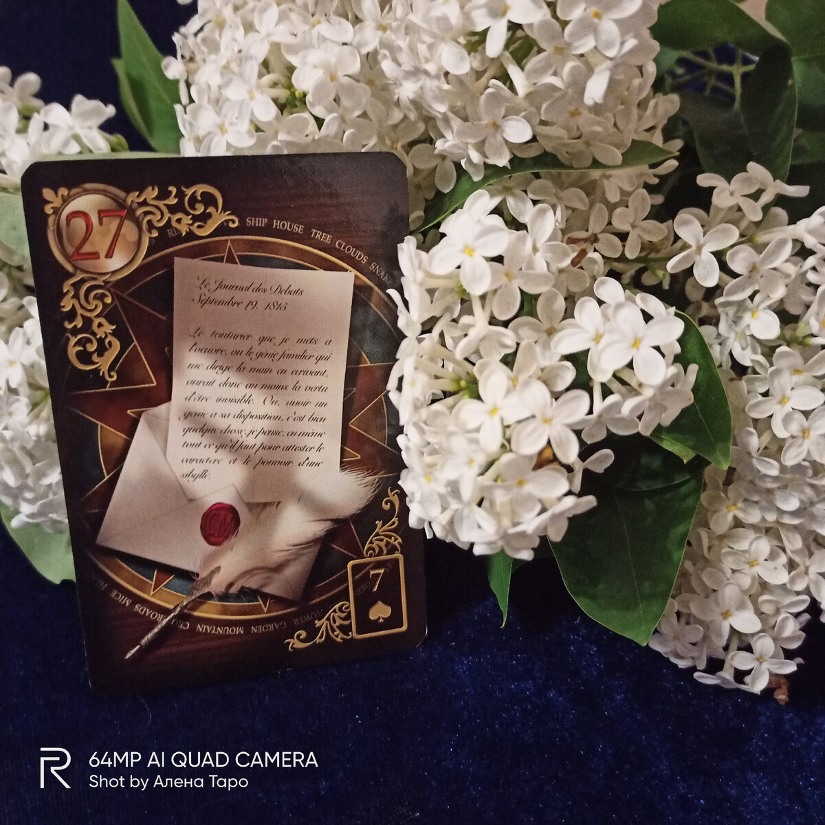 Фото канала Алена Таро