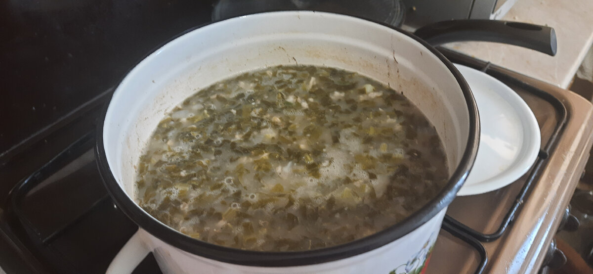 Сварил отличный щавелевый супчик .