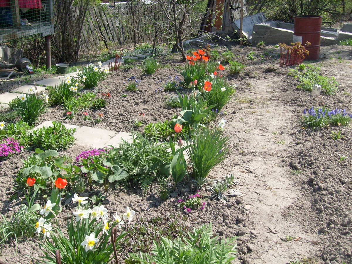 первоцветы