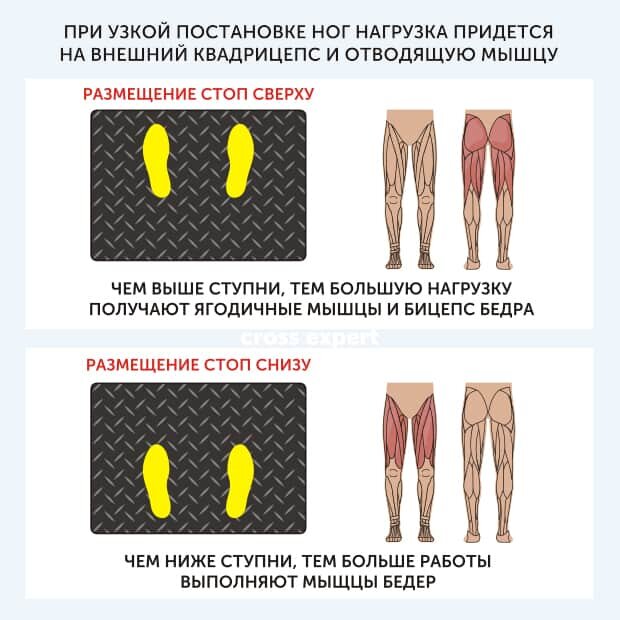 Упражнения для мышц бедер: составляем эффективную программу тренировок