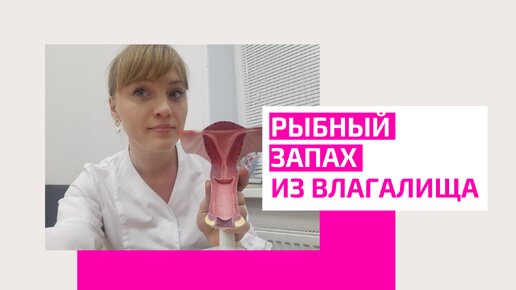 Рыбный запах из влагалища. В чем причины? Как избавиться от рыбного запаха навсегда.Акушер-гинеколог Ольга Прядухина.