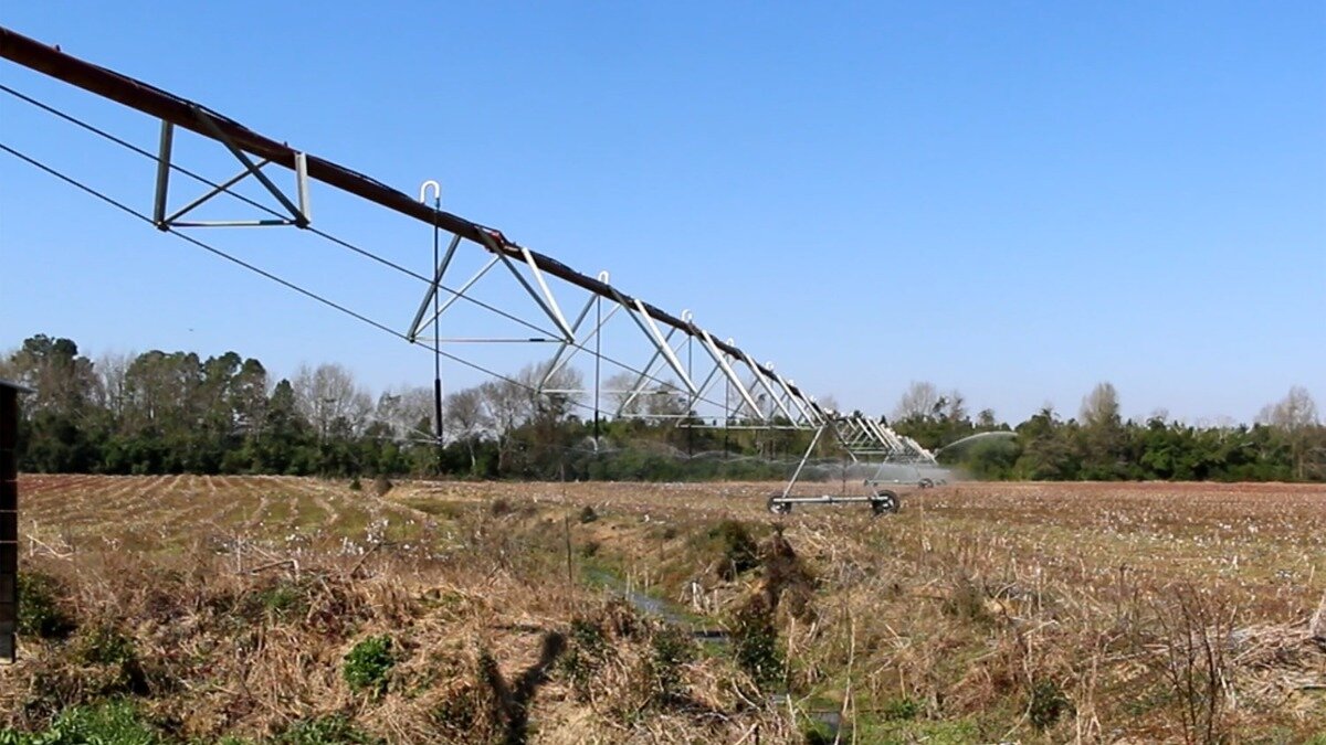Фото:walterborolive.com Онлайн-калькулятор рассчитывает количество жидких удобрений, необходимое во время капельного орошения.