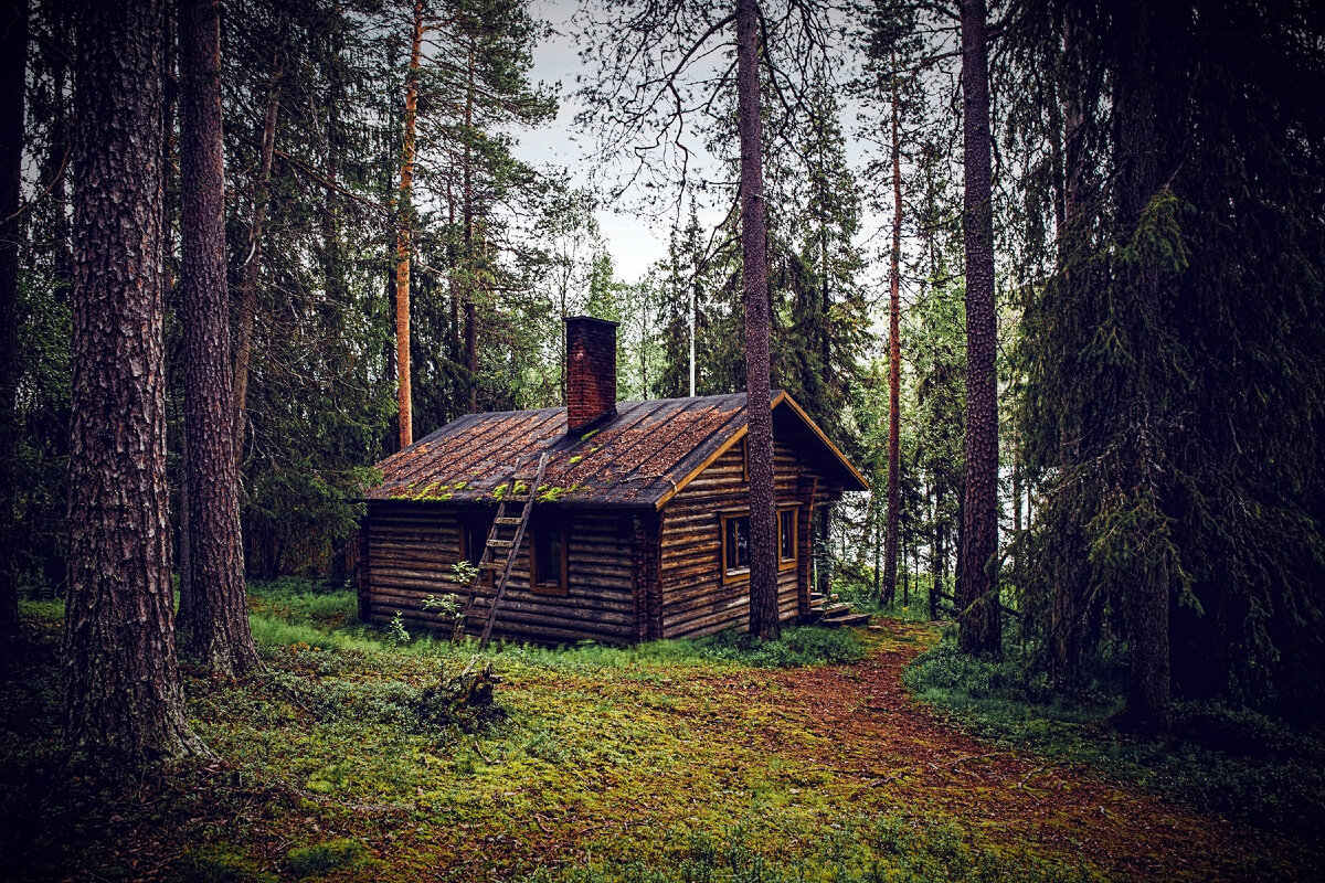 дом лесника.