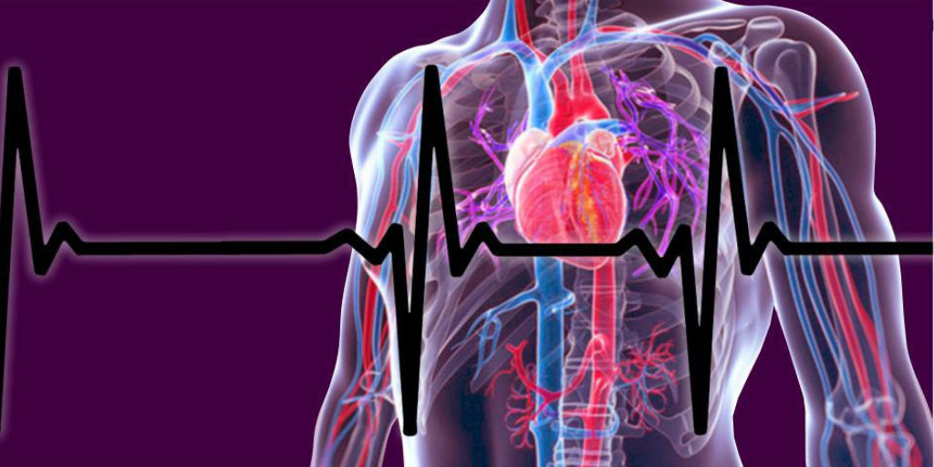 Важно знать, как сердцу помогать.