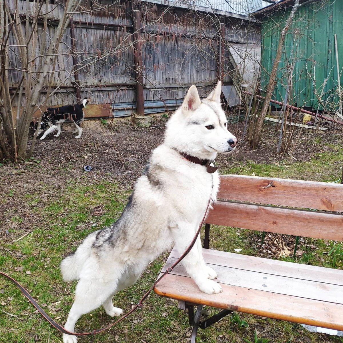 Первые часы в новом доме. 