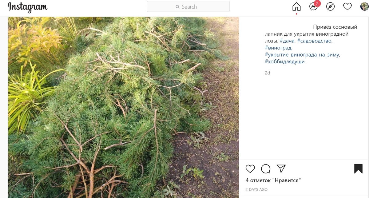 Всегда с уважением отношусь к чужому опыту, но я за самые энергосберегающие технологии )))
