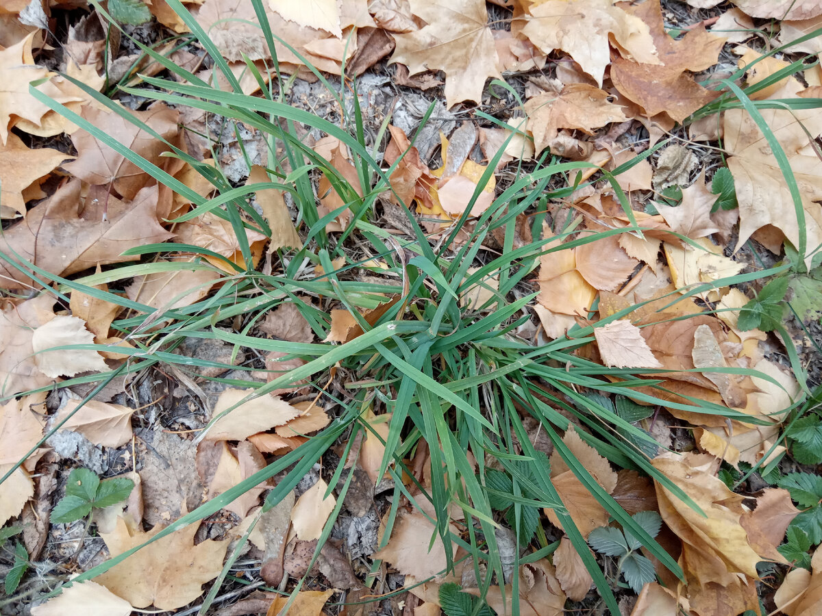 Фотография из личного архива автора