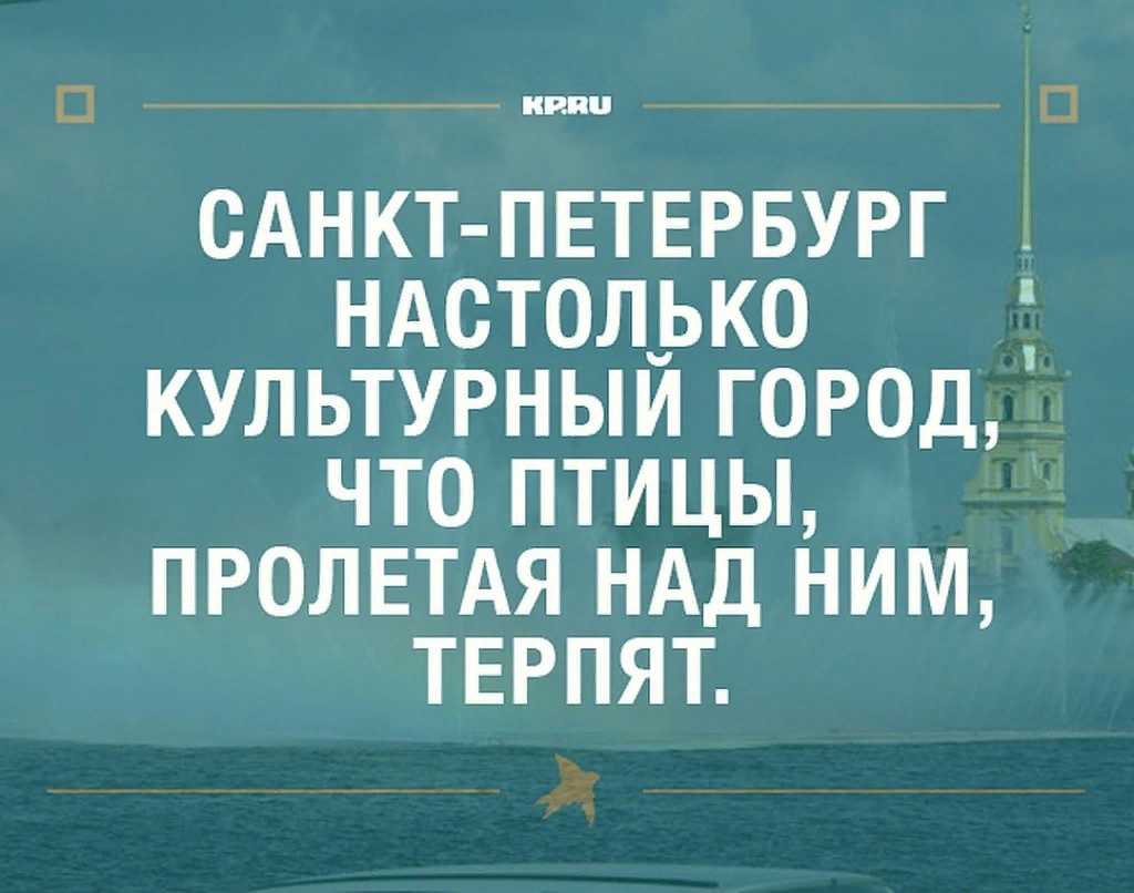 Терпит г. Шутки про Питер. Анекдоты про Петербург. Смешные фразы про Петербург. Прикольные фразы про Питер.