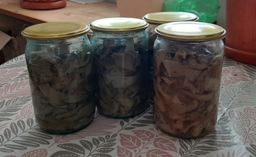 Грибочки
