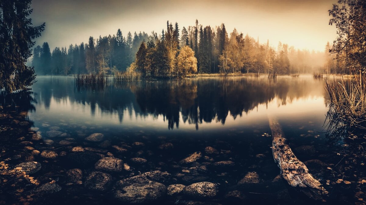 Источник Яндекс Картинки