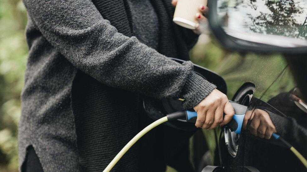 IMAGE SOURCE,GETTY IMAGESImage caption,WWF Scotland is calling for an increased roll-out of electric vehicles