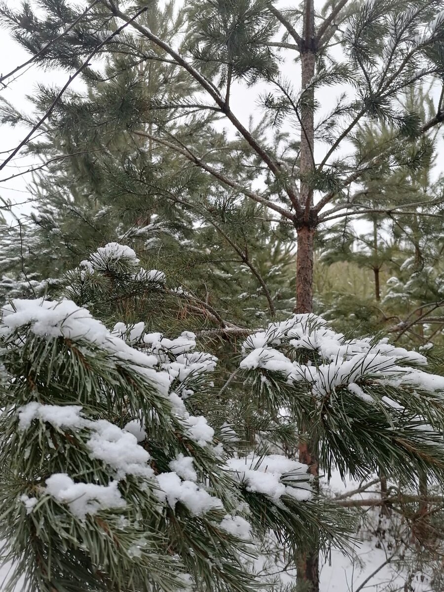 Фотография из личного архива автора