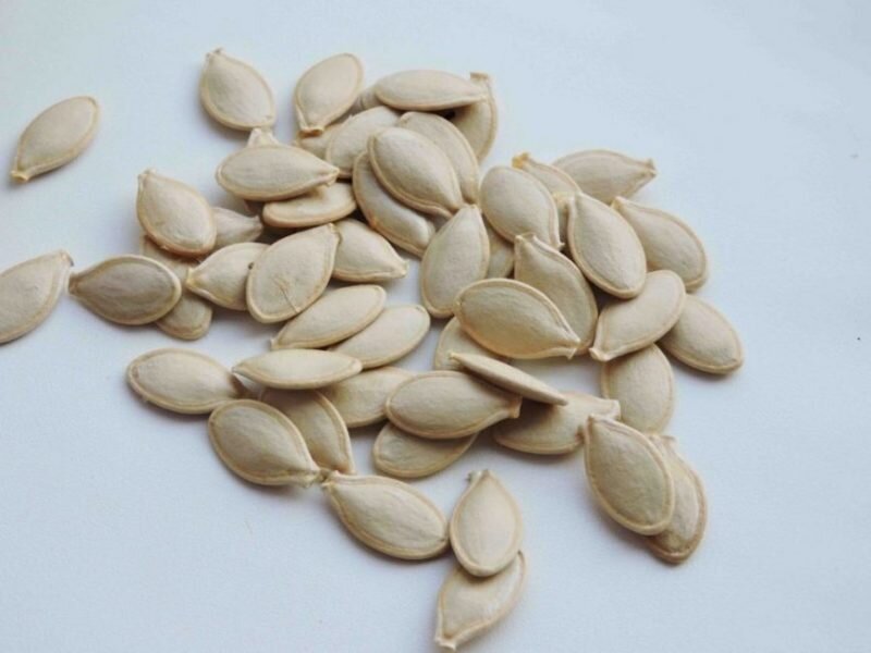 Семена кабачков. Фото используется с сайта krrot.net