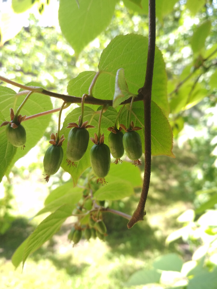 22 июня 2022 г. 