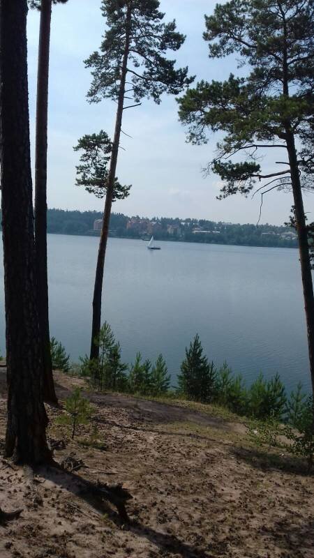 то место, где гуляли 