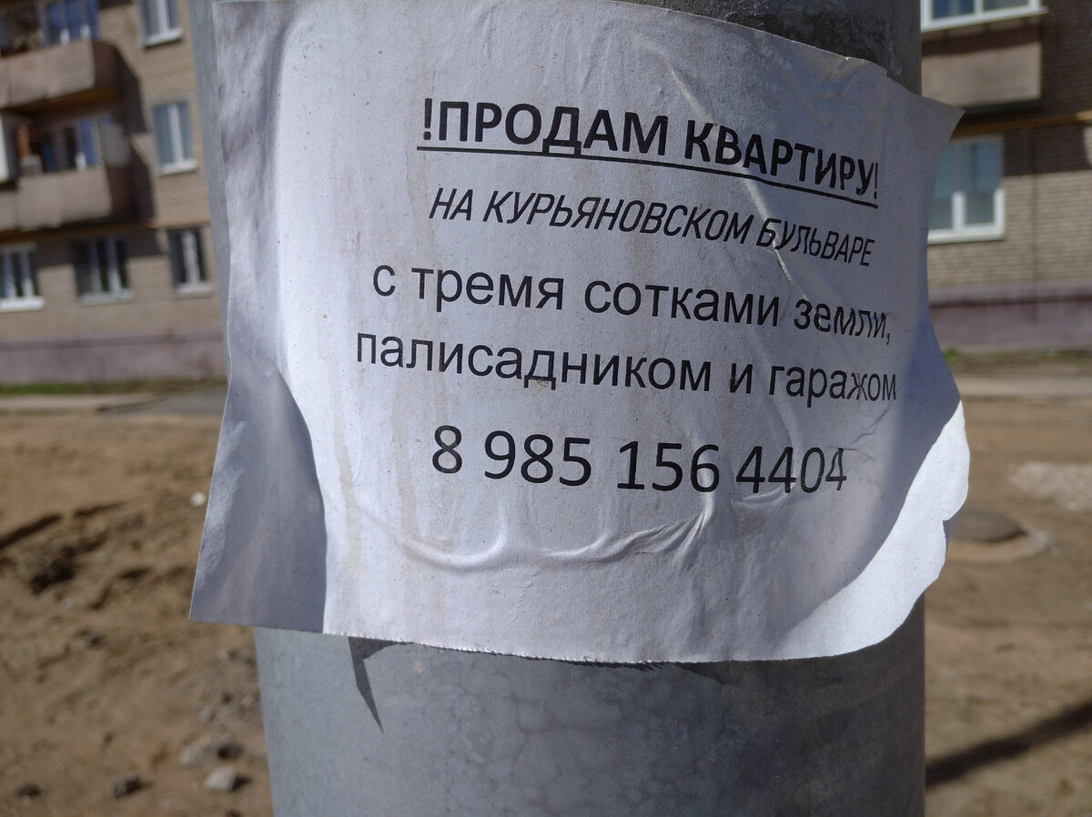 Живём в Курьяново. Рассказываю о жизни в самом заповедном районе Москвы